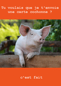 Une carte cochon pour rigoler entre amis